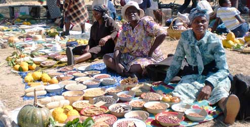 Farmers show off their produce