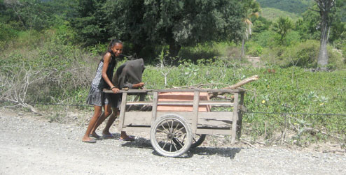 2 sister wheel firewood along a dust track