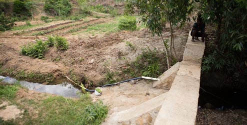 Flood wall beside food garden