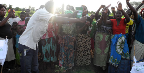 Celebrating tree planting