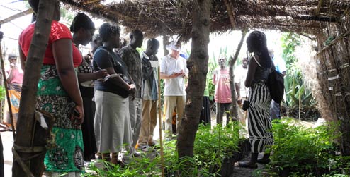 Kasache village tree nursery