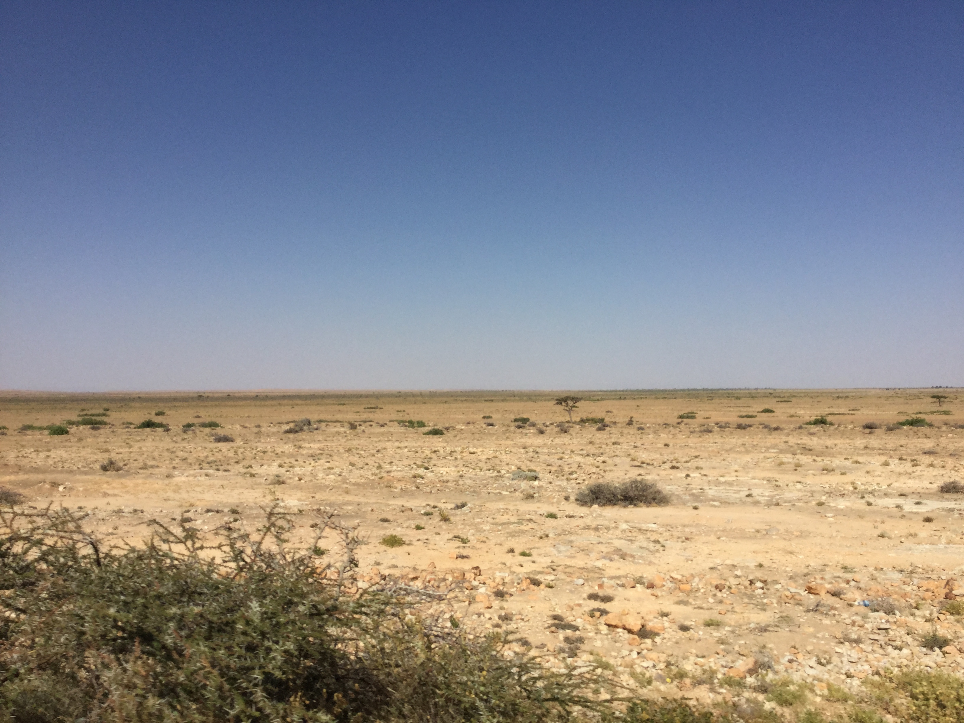 Barren landscape in Somaliland on the road to Laas Caanood