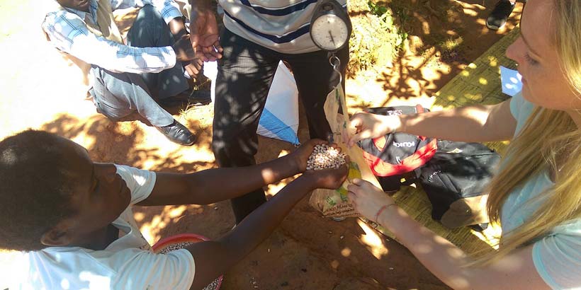 ICS volunteer Karen weighing beans in Chitatata community