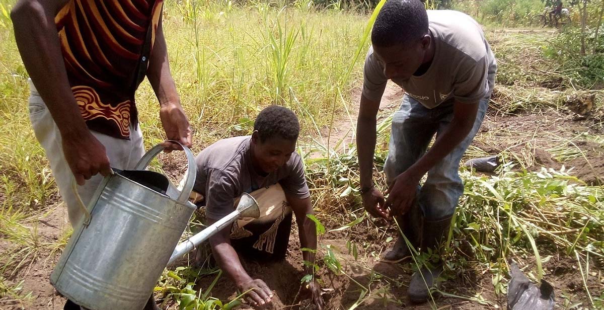 Village Headwoman Mwenyekasi planting a tree