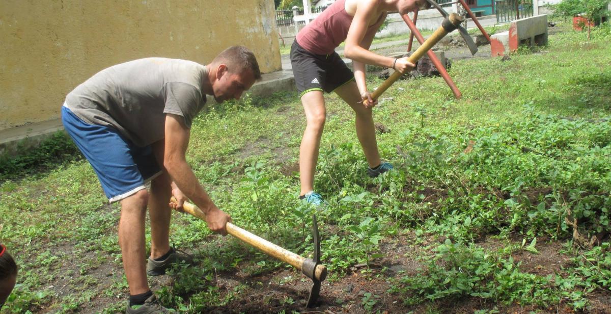 Taking care of a vegetable garden