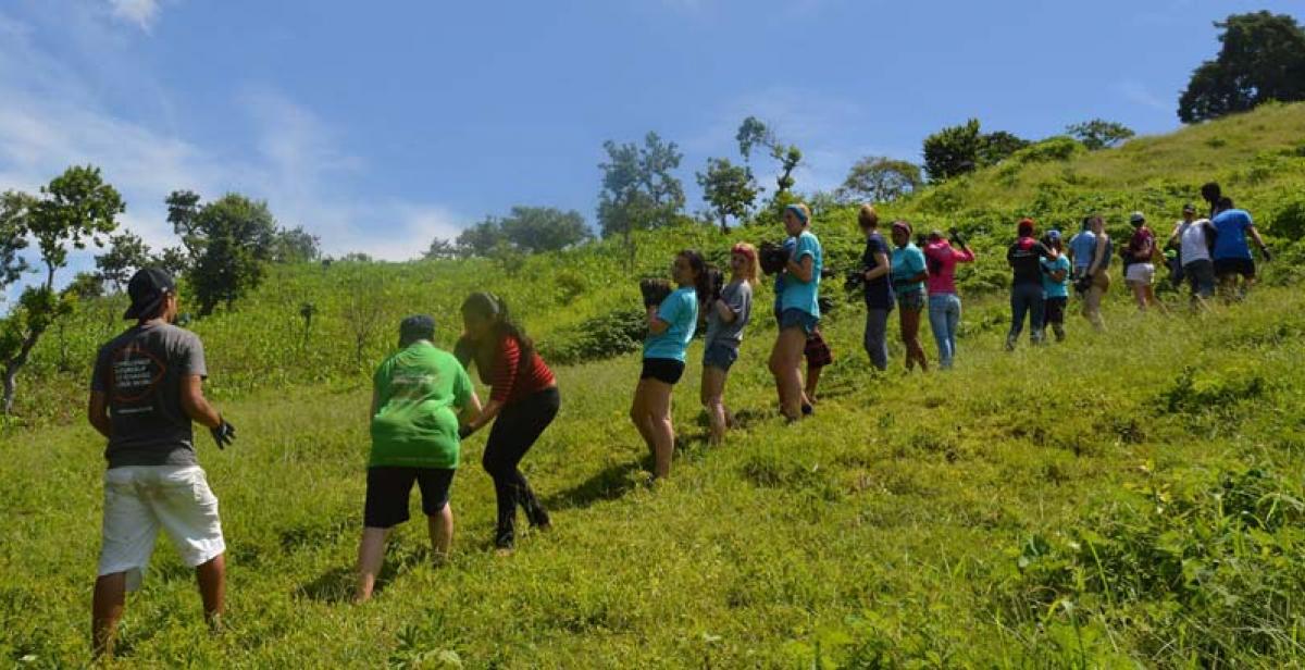 Collecting rocks for the bio-construction 