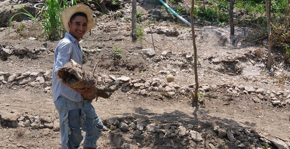 Luciano working in his farm