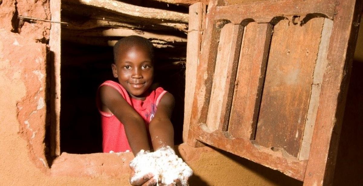 Maize &amp;#039;porridge&amp;#039; is the staple food in ZimFast and in everyday lives for most families in Zimbabwe