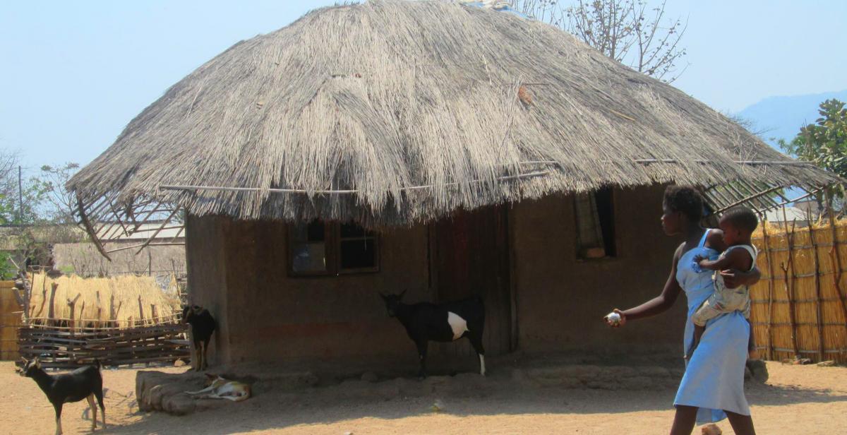 Chembe Town, in the southern region of Malawi, is experiencing severe droughts and farmers are struggling to grow maize. 