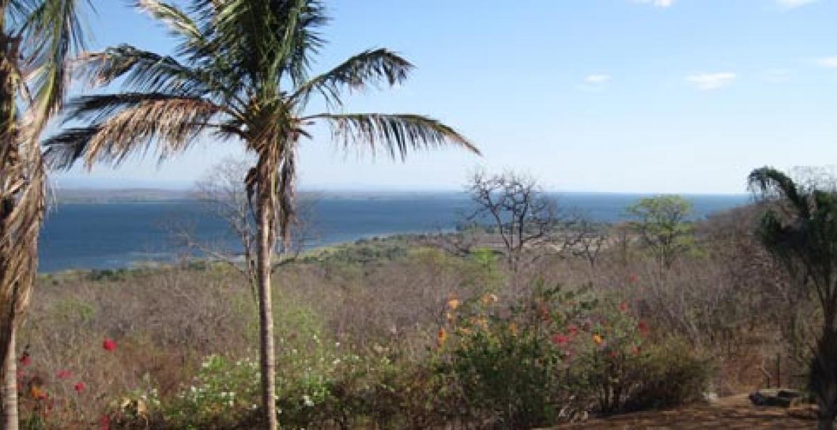 View in Binga