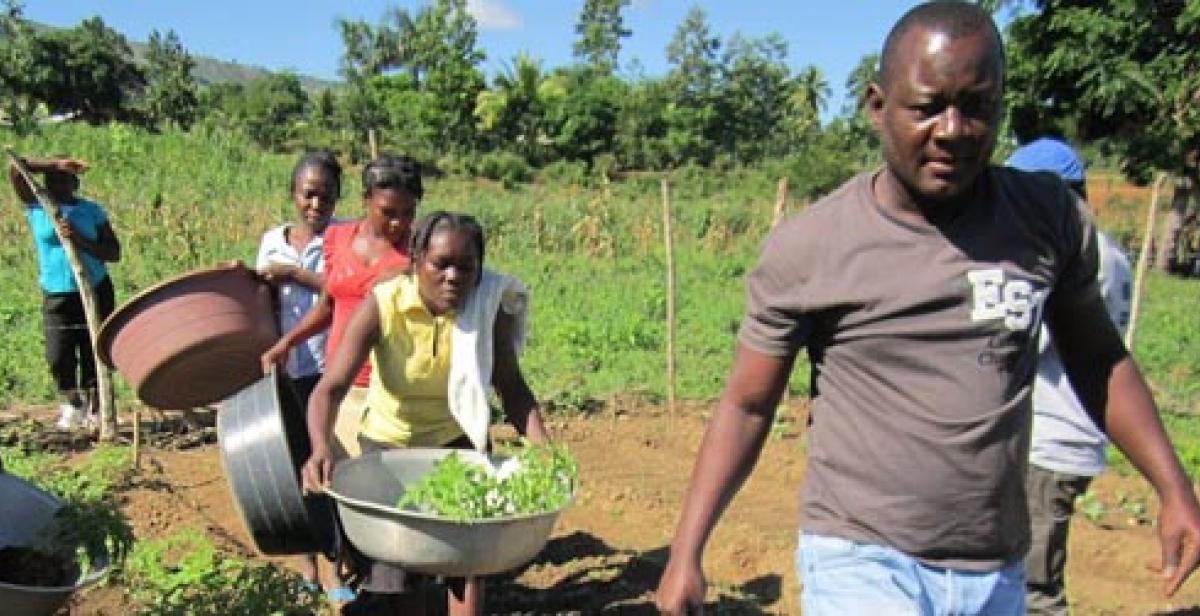 Gabriel Petit-Homme at Lamine demonstration garden