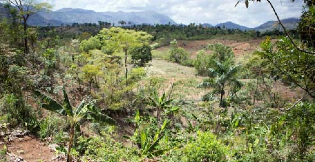 Haiti landscape