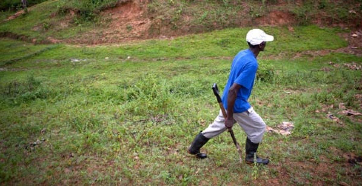 Farmer crosses a field in Lamine, Haiti