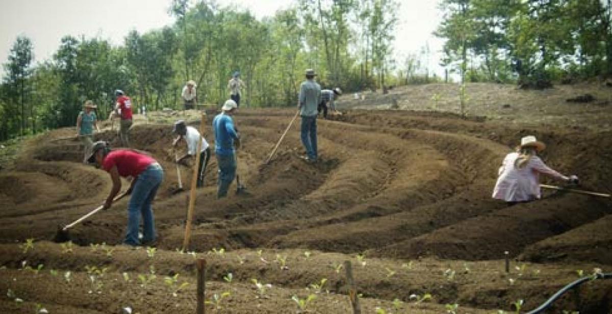 Farming in Honduras