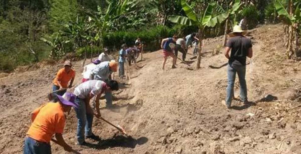 Volunteers working on hillside farm in Honduras