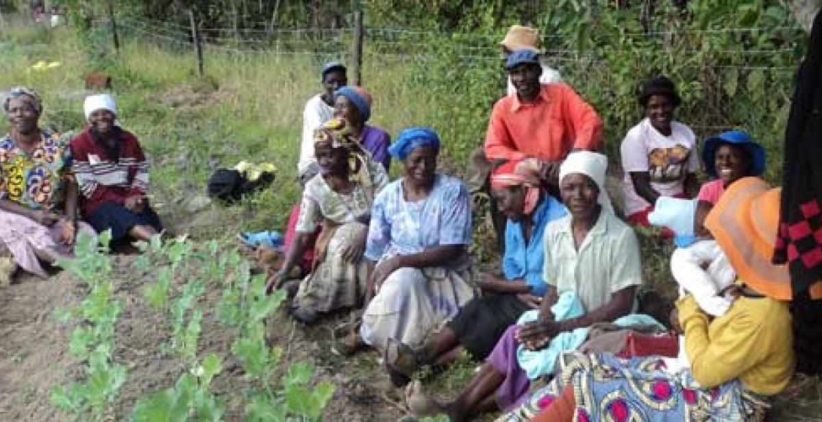 Farmers in Zimbabwe