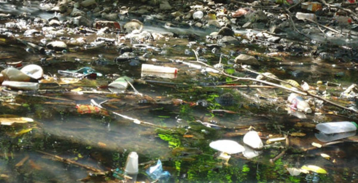 Progressio ICS, El Salvador, Litter, Santa Marta, Environment 