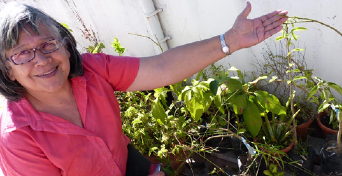 Maritza Arevalo shows off her urban farming