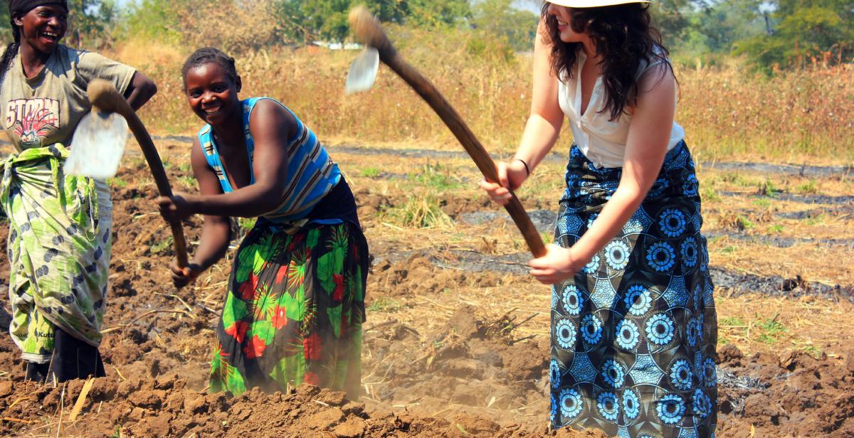 Women farming in Malawi