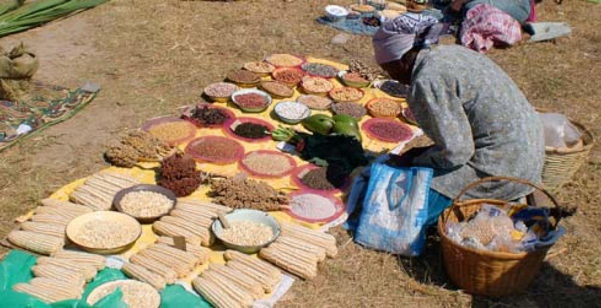 A woman selling produce at Chigondo market, Zimbabwe