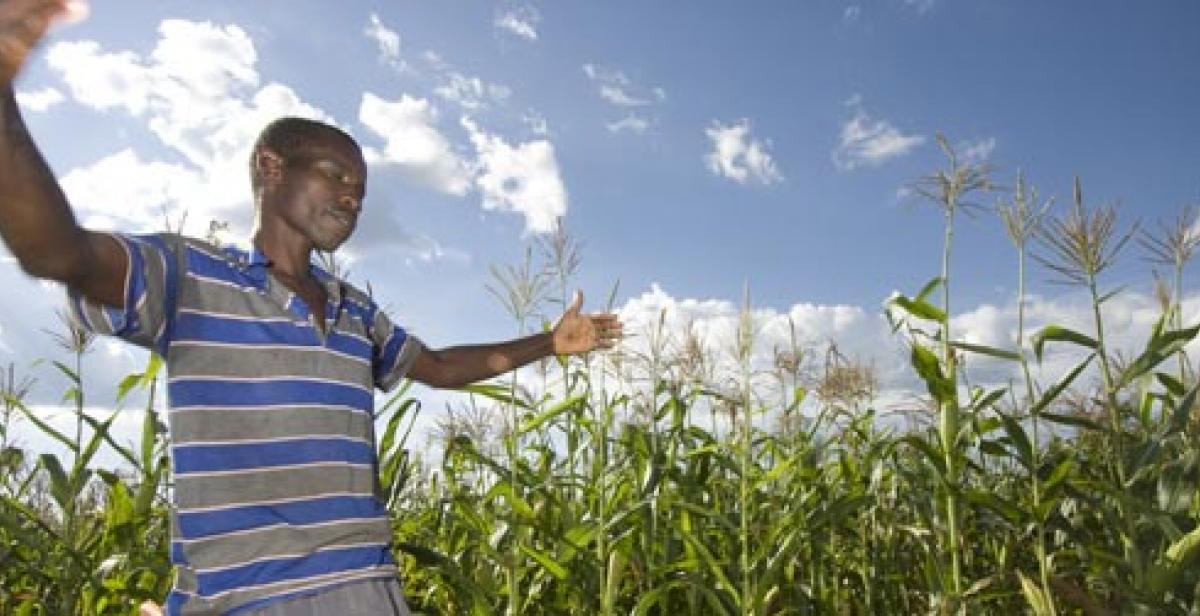 A farmer in Zimbabwe