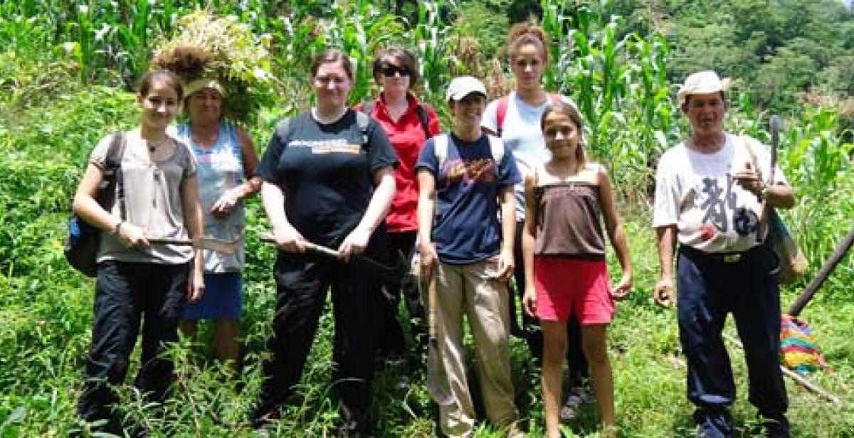 Empower volunteers on the cornfield