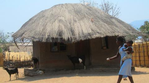 Chembe Town, in the southern region of Malawi, is experiencing severe droughts and farmers are struggling to grow maize. 