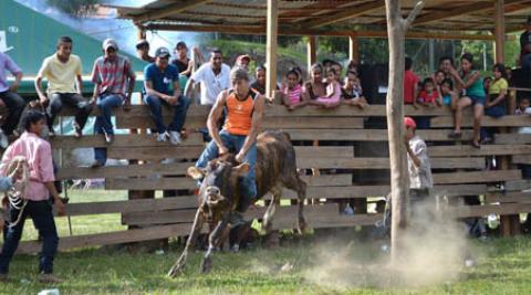 Bull Riding in Nicaragua 