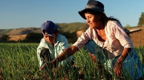 Maria Yolanda and her son tend their crops, Antioquia, Peru