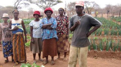 Farmers in community food garden in Zimbabwe