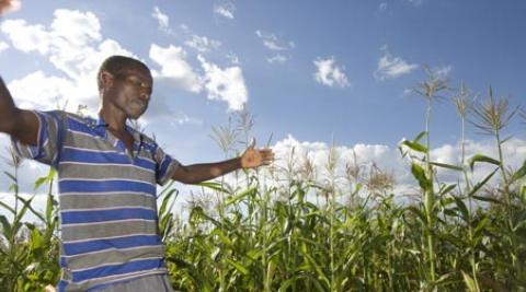 A farmer in Zimbabwe